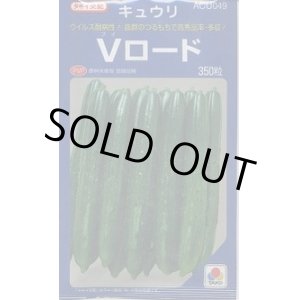 画像: 送料無料　[キュウリ]　Vロード　350粒　タキイ種苗(株)