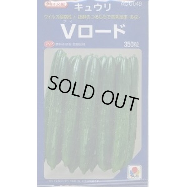 画像1: 送料無料　[キュウリ]　Vロード　350粒　タキイ種苗(株) (1)