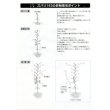 画像3: 送料無料　[キュウリ]　ズバリ163　350粒　(株)(株)ときわ研究場 (3)