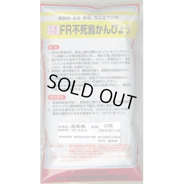 画像2: 送料無料　[台木/スイカ用]　ＦＲ不死鳥かんぴょう　500粒　大和農園 (2)