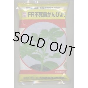 画像: 送料無料　[台木/スイカ用]　ＦＲ不死鳥かんぴょう　20粒　大和農園
