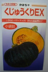 画像: 送料無料　[かぼちゃ]　くじゅうくりEX南瓜　100粒　カネコ交配