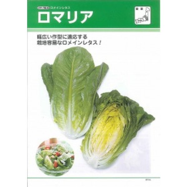 画像2: 送料無料　[レタス]　ロメインレタス　ロマリア　5000粒　ペレット種子　タキイ種苗(株) (2)