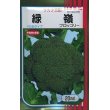 画像1: 送料無料　[ブロッコリー]　緑嶺　20ml　(株)サカタのタネ (1)