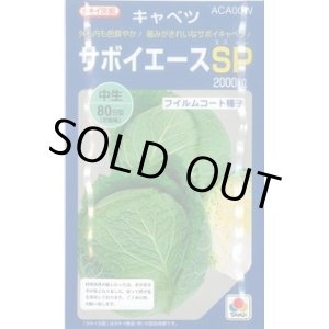 画像: 送料無料　[キャベツ]　サボイエースSP　2000粒　タキイ種苗(株)