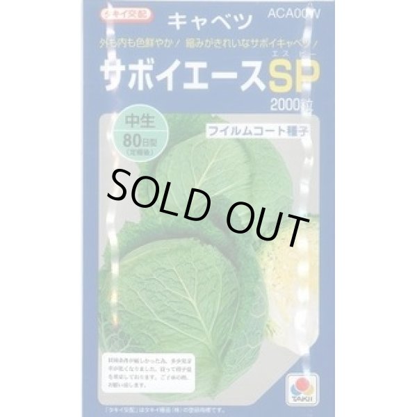 画像1: 送料無料　[キャベツ]　サボイエースSP　2000粒　タキイ種苗(株) (1)