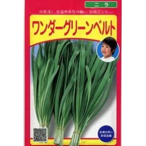 画像: 送料無料　[葉物]　ニラ　ワンダーグリーンベルト　20ml(およそ2,160粒)(株)武蔵野種苗園