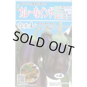 画像: 送料無料　[なす]　カレーなインド　20粒　トキタ種苗(株)