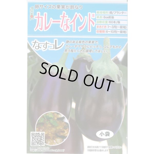 画像1: 送料無料　[なす]　カレーなインド　20粒　トキタ種苗(株) (1)