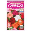 画像1: 送料無料　花の種　インパチェンス　スーパーエルフィンミックス　約25粒　(株)サカタのタネ　実咲350　（026094） (1)