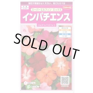 画像: 送料無料　花の種　インパチェンス　スーパーエルフィンミックス　約25粒　(株)サカタのタネ　実咲350　（026094）