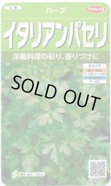 画像: 送料無料　[ハーブの種]　イタリアンパセリ　約350粒　(株)サカタのタネ　実咲（003178）