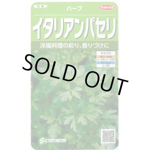 画像: 送料無料　[ハーブの種]　イタリアンパセリ　約350粒　(株)サカタのタネ　実咲（003178）