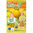 画像1: 送料無料　[トマト/ミニトマト]　きら〜ず　500粒　ナント種苗(株) (1)