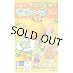 画像: 送料無料　[トマト/ミニトマト]　きら〜ず　500粒　ナント種苗(株)