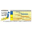 画像3: 送料無料　[トマト/ミニトマト]　きら〜ず　500粒　ナント種苗(株) (3)