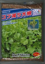 画像: [緑肥]　大根　コブ減り大根　1kg　タキイ種苗(株)