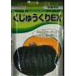 画像1: 送料無料　[かぼちゃ]　くじゅうくりEX南瓜　500粒　カネコ交配 (1)