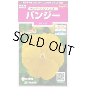 画像: 送料無料　花の種　パンジー　パシオ　クリアイエロー　約34粒　(株)サカタのタネ　実咲350（026137）