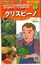 画像: 送料無料　[イタリア野菜]　クリスピーノ　50粒　トキタ種苗(株)