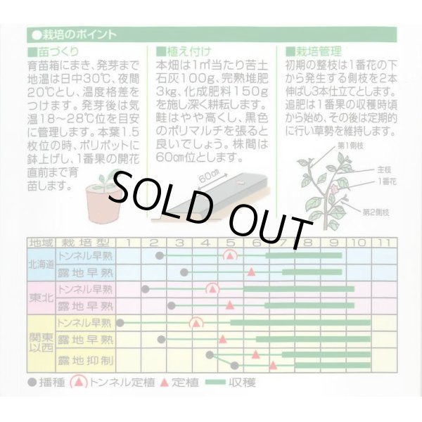 画像2: 送料無料　[なす]　くろべえ　0.6ml(およそ70粒)　(株)渡辺採種場 (2)