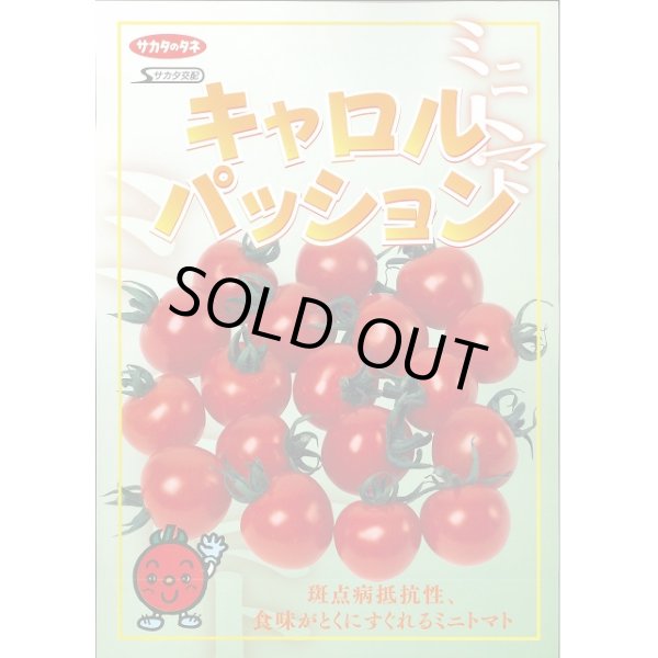 画像2: 送料無料　[トマト/ミニトマト]　キャロルパッション　12粒　(株)サカタのタネ　実咲450（002826） (2)