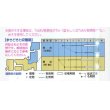 画像2: 送料無料　[トマト]　強力米寿　1000粒　タキイ種苗(株) (2)