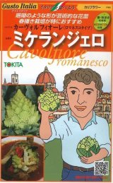 画像: 送料無料　[イタリア野菜]　ミケランジェロ　50粒　トキタ種苗(株)