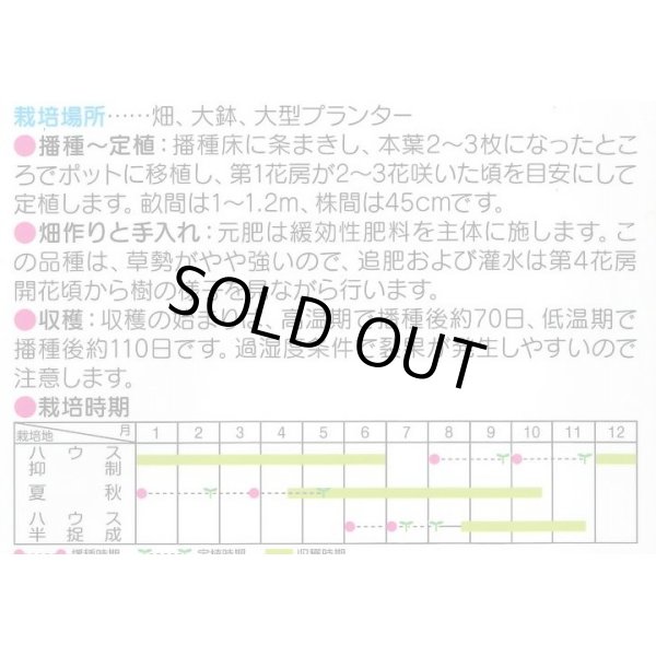 画像2: 送料無料　[トマト/ミニトマト]　ミニキャロル　約14粒　(株)サカタのタネ　実咲450（002818） (2)