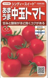 画像: 送料無料　[トマト/中玉トマト]　シンディースイート　約21粒　（株）サカタのタネ 実咲550（002816）