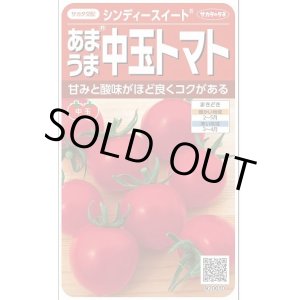 画像: 送料無料　[トマト/中玉トマト]　シンディースイート　約21粒　（株）サカタのタネ 実咲550（002816）