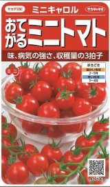 画像: 送料無料　[トマト/ミニトマト]　ミニキャロル　約14粒　(株)サカタのタネ　実咲450（002818）