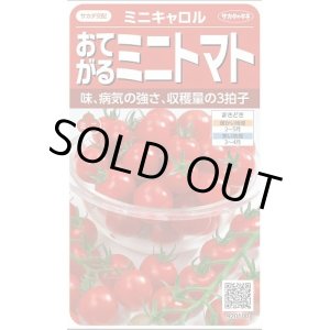 画像: 送料無料　[トマト/ミニトマト]　ミニキャロル　約14粒　(株)サカタのタネ　実咲450（002818）