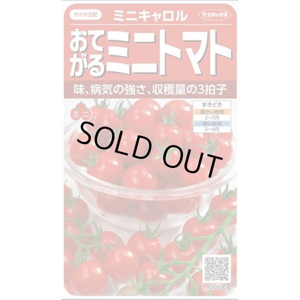 画像1: 送料無料　[トマト/ミニトマト]　ミニキャロル　約14粒　(株)サカタのタネ　実咲450（002818） (1)