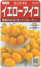 画像: 送料無料　[トマト/ミニトマト]　イエローアイコ　13粒　(株)サカタのタネ実咲550（002823）