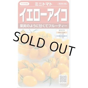 画像: 送料無料　[トマト/ミニトマト]　イエローアイコ　13粒　(株)サカタのタネ実咲550（002823）