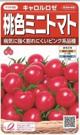 画像: 送料無料　[トマト/ミニトマト]　キャロルロゼ(すずなりピンク)13粒　(株)サカタのタネ実咲550（002825）