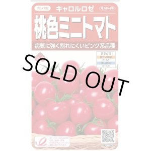 画像: 送料無料　[トマト/ミニトマト]　キャロルロゼ(すずなりピンク)13粒　(株)サカタのタネ実咲550（002825）