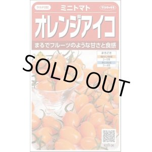 画像: 送料無料　[トマト/ミニトマト]　オレンジアイコ　13粒　(株)サカタのタネ　実咲550 （002827）