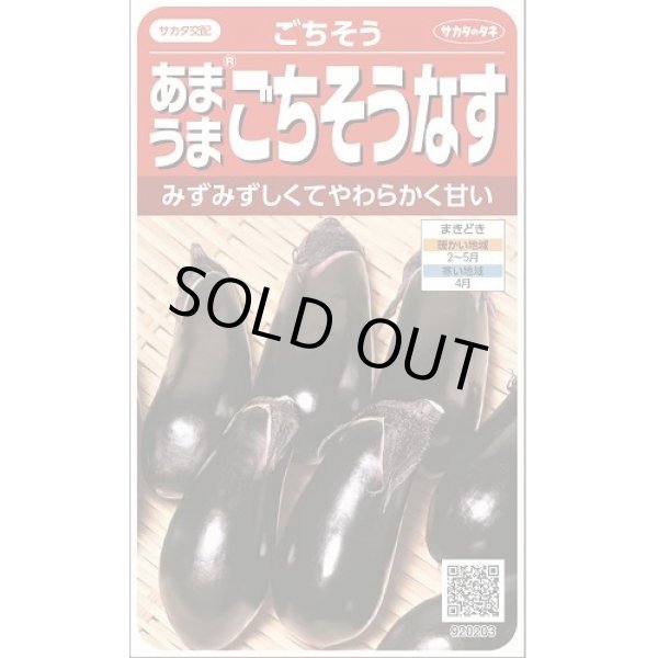 画像1: 送料無料　[なす]　ごちそうなす約50粒　(株)サカタのタネ　 実咲550（002834） (1)