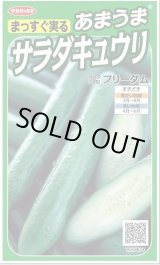 画像: 送料無料　[キュウリ]　フリーダム　18粒　　(株)サカタのタネ実咲（002844）