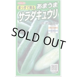 画像: 送料無料　[キュウリ]　フリーダム　18粒　　(株)サカタのタネ実咲（002844）