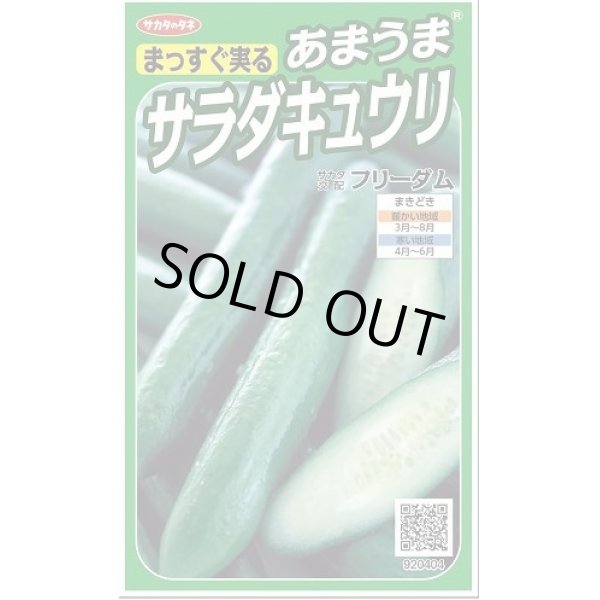 画像1: 送料無料　[キュウリ]　フリーダム　18粒　　(株)サカタのタネ実咲（002844） (1)