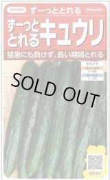 画像: 送料無料　[キュウリ]　ずーっととれる　約16粒　(株)サカタのタネ　実咲550（002847）