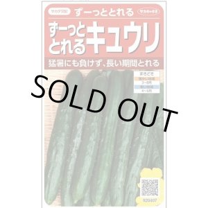 画像: 送料無料　[キュウリ]　ずーっととれる　約16粒　(株)サカタのタネ　実咲550（002847）