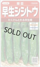 画像: 送料無料　[ししとう]　翠臣　約30粒　(株)サカタのタネ　実咲450 （002905）