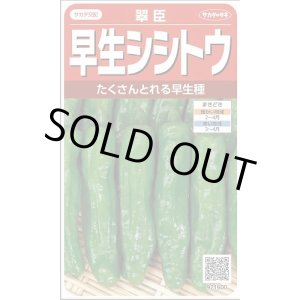 画像: 送料無料　[ししとう]　翠臣　約30粒　(株)サカタのタネ　実咲450 （002905）