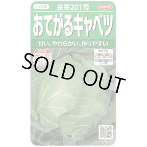 画像: 送料無料　[キャベツ]　金系201号　約65粒　(株)サカタのタネ　実咲450（002912）