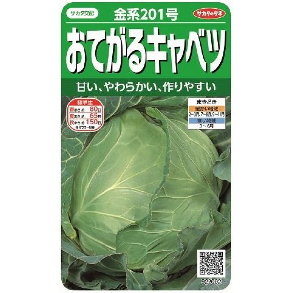 画像1: 送料無料　[キャベツ]　金系201号　約65粒　(株)サカタのタネ　実咲450（002912） (1)