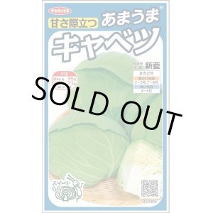 画像: 送料無料　[キャベツ]　新藍　約65粒　(株)サカタのタネ　実咲450（002914）